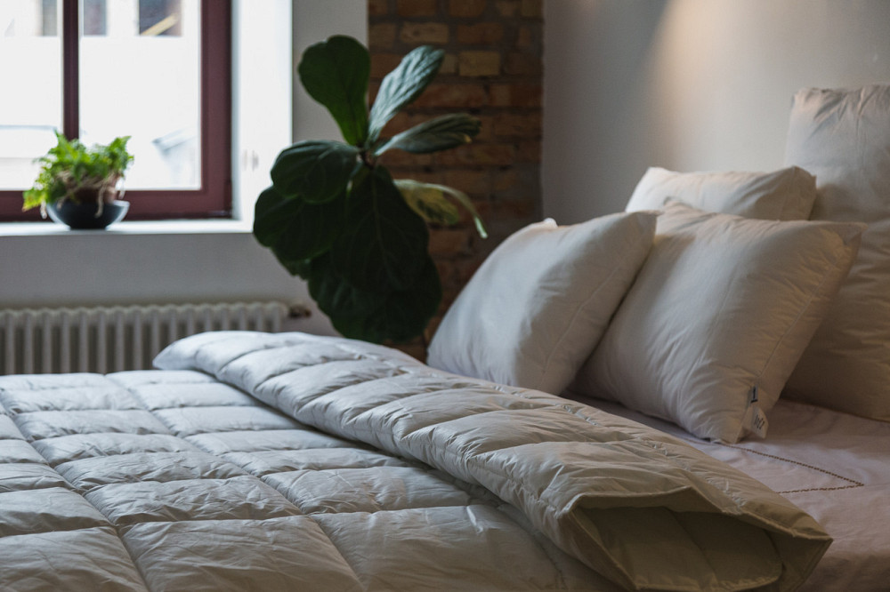 Ecotton Ковдра Ecotton Ecofill Premium 172х205 см двоспальна антиалергенна з біопухом біла в чо Коломия - фото 5