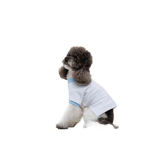 Футболка Pet Fashion Polo для собак М Київ