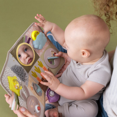 Развивающая игрушка Taf Toys центр для кроватки - Познай мир (13115) Винница - изображение 10