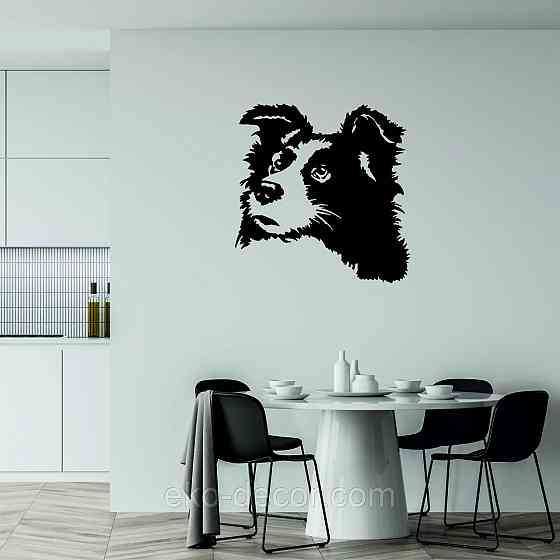 Декоративне настінне Панно «Бордер-Колі», Декор на стіну Київ