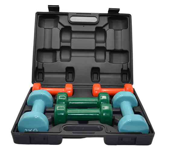 Набір гантелей в кейсі 12 кг. PowerPlay 4118 Fitness Dumbells (2шт.*1кг. 2шт.*2кг. 2шт.*3кг.) Кам'янське