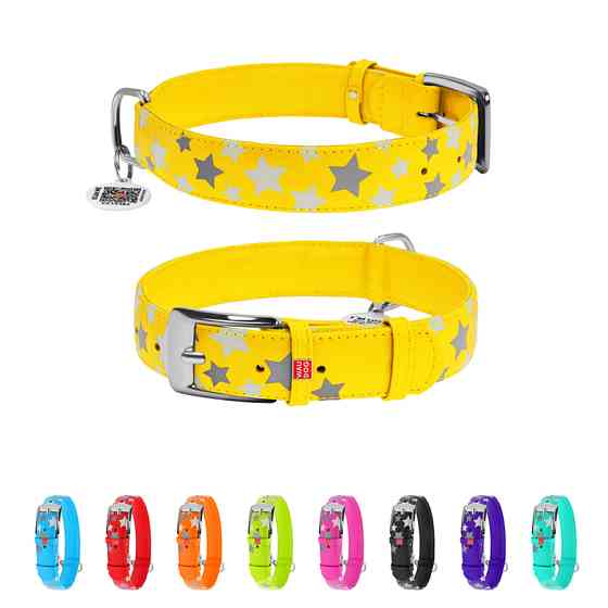 Нашийник для собак шкіряний WAUDOG Glamour з QR паспортом, візерунок "Зірочка", світонакоплювал Коломия