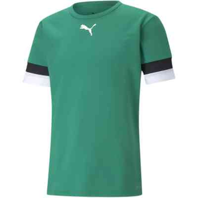 Футболка Puma teamRISE Jersey 704932-05 зелений S (4063699210309) Вінниця