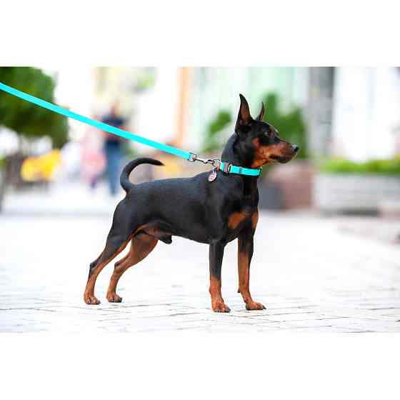 Нашийник для собак водостійкий WAUDOG Waterproof c QR паспортом, світонакоплювальний, металічна Коломыя