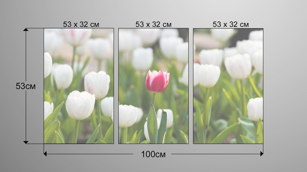 Модульна картина Квіти Тюльпани Аrt-134_3А Київ - фото 3
