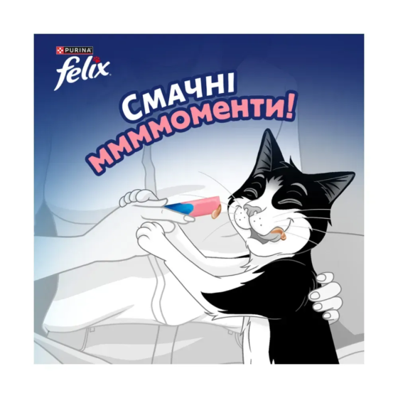 Вологий додатковий корм FELIX Смачні моменти для дорослих котів, з лососем, 4х10 г Київ