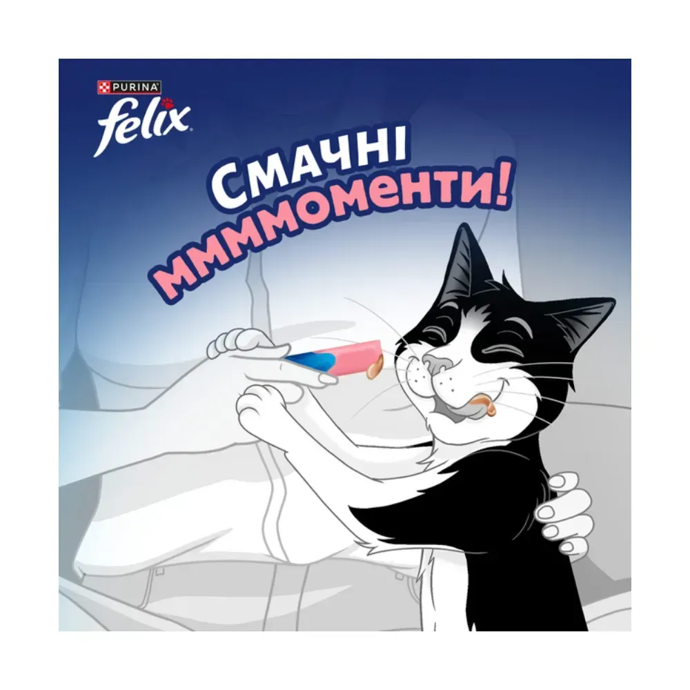 Вологий додатковий корм FELIX Смачні моменти для дорослих котів, з лососем, 4х10 г Київ - фото 3