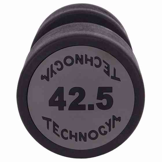 Гантель 42.5 кг суцільна професійна TECHNOGYM-1254-42_5 Гантелі, гирі, штанги та диски Київ