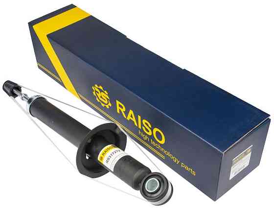 Амортизатор задній Raiso (Швеція) Hyundai Sonata IV, Хюндай Соната 4 98-04 #RS317272 UAXECZL22 Ковель