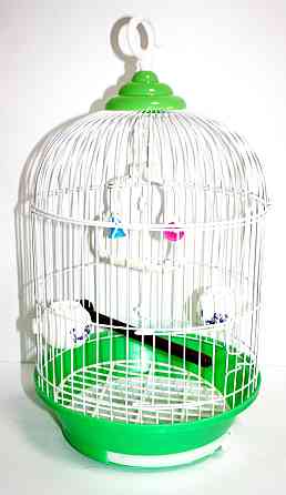 Клетка для птиц краска большая круглая 28*42 (А002) Киев