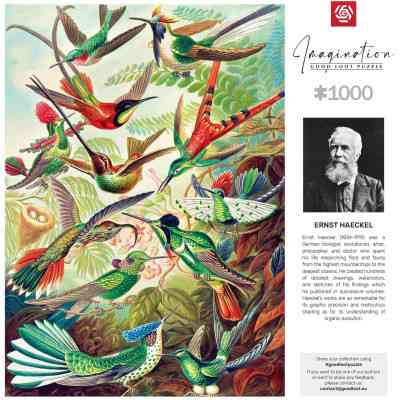 Пазл GoodLoot Imagination: Ernst Haeckel Hummingbirds/Kolibry 1000 елементів (5908305246794) Вінниця