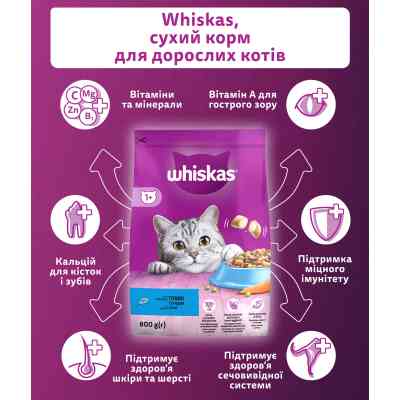 Сухий корм для кішок Whiskas з тунцем 800 г (5900951305269) Вінниця