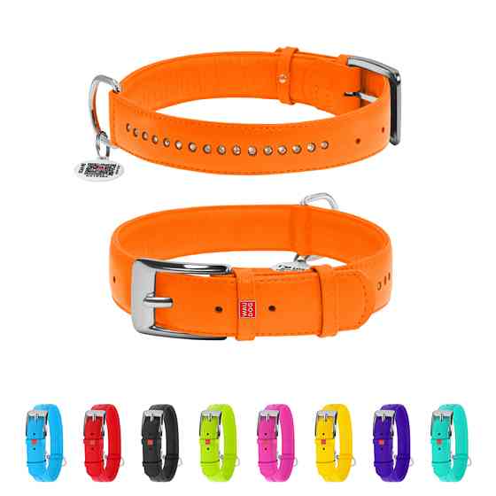 Нашийник для собак шкіряний WAUDOG Glamour з QR паспортом, подвійний зі стразами, S, Ш 15 мм, Д Коломия