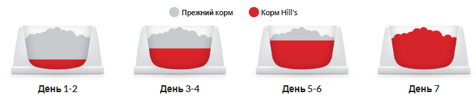 Hills Science Plan Feline Adult 1-6 Lamb Rice (Хиллс СП Филайн Эдалт Ягненок и Рис) для взрослых кошек 1-6 лет 10 кг Запорожье - изображение 6