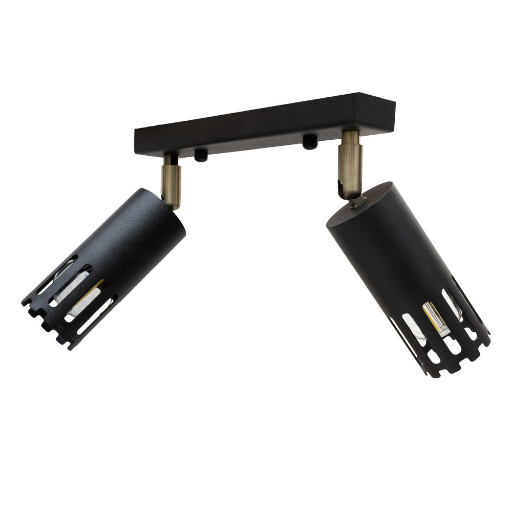 Светильник потолочный MSK Electric Teramo спот поворотный на два плафона NL 180501-2 BK Одесса - изображение 1