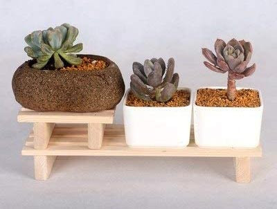 Підставка для квітів "Карера" бланже Миколаїв - фото 1