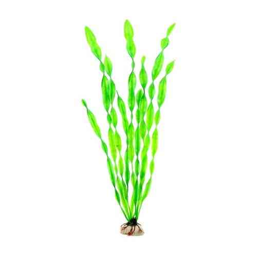 Штучні рослини для акваріума - довжина 29-30см, пластик Київ
