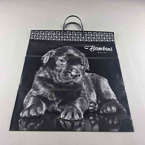 Пакет-сумка 40х45 з пластиковою ручкою  "Бамбини" 787  (10 шт) Харків