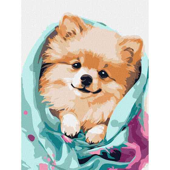 Картина за номерами "Щасливий шпіц" ©art_selena_ua KHO6545 30х40 см Вінниця