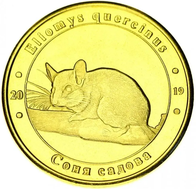 Украина 1 злотник 2019 Красная книга Украины Садовая соня UNC Полтава - изображение 1