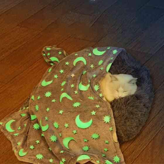 М'яка ковдра що світиться для сну Blanket kids Magic Star 150х100 см, Ковдра KE-361 що світиться Київ