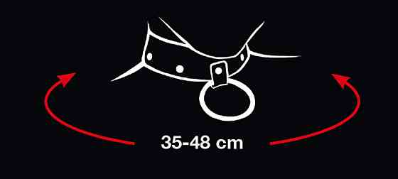 Нашийник з повідком - 2492016 Bad Kitty Collar And Leash Sex Aura Київ