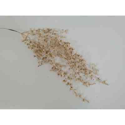 Декоративная ветвь YES! Fun Ива 70 см, золото, глиттер (973892) Винница