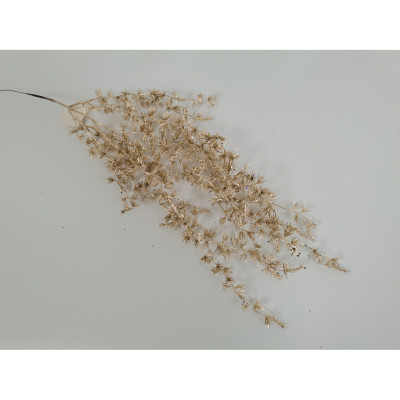 Декоративна гілка YES! Fun Верба 70 см, золото, гліттер (973892) Вінниця - фото 1
