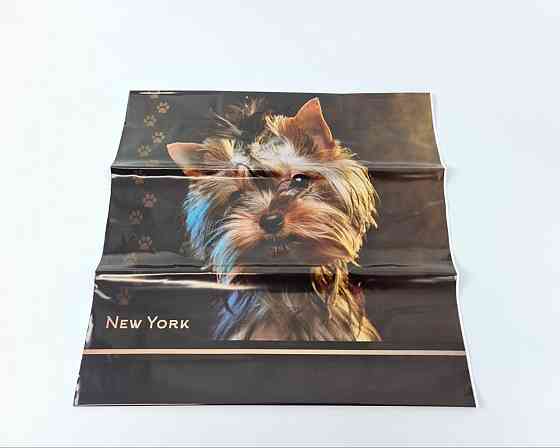 Полиэтиленовый пакет (40х40) с пластиковой ручкой