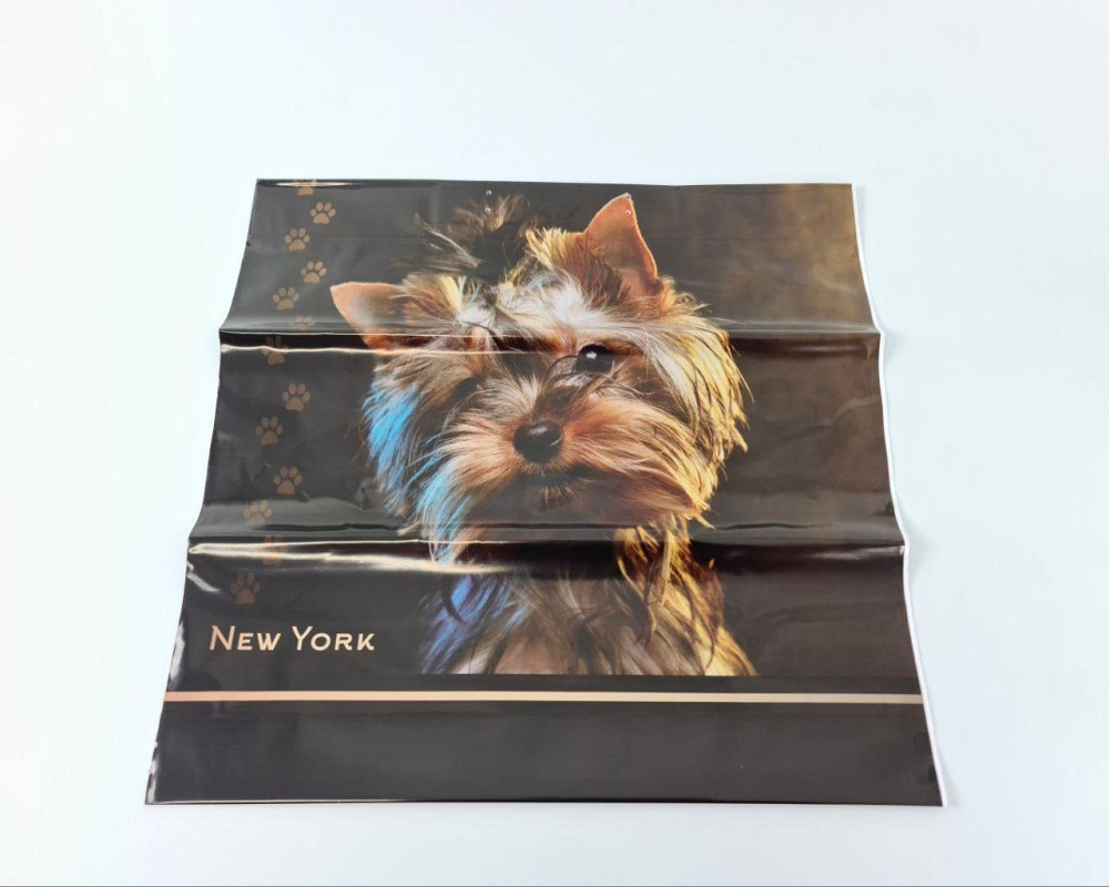 Полиэтиленовый пакет (40х40) с пластиковой ручкой