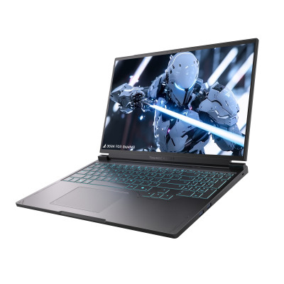 Ноутбук Thunderobot RS16 (RS16-R97945HX57TC1Q240ARB) Винница - изображение 12