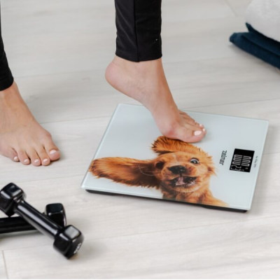 Ваги підлогові Zelmer ZBS1010 Вінниця - фото 7