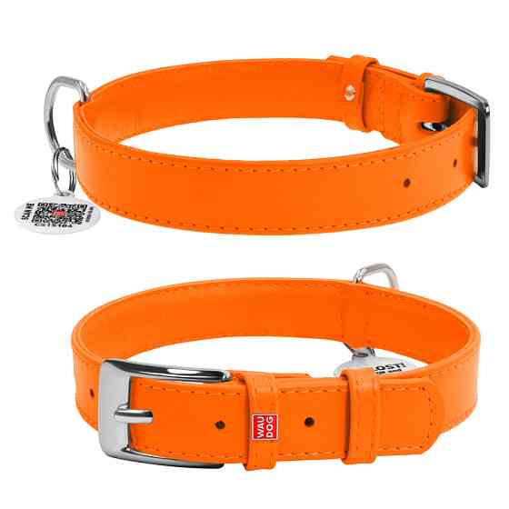Нашийник для собак шкіряний WAUDOG Glamour з QR паспортом, без прикрас, L, Ш 25 мм, Дов 38-49 с Коломыя
