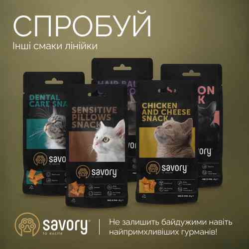 Хрумкі ласощі Savory Cats Snacks Crunchy Balls для дорослих вибагливих котів, кульки з котячою м’ятою, 60 г Київ