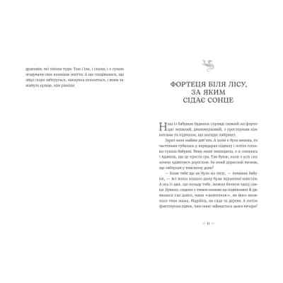 Книга Грудень драконів - Анастасія Геращенко Видавництво Старого Лева (9789664485620) Вінниця