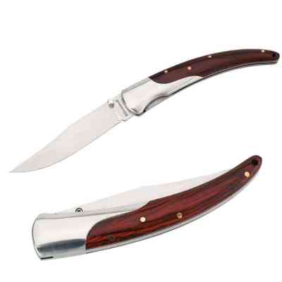 Ніж Schwarzwolf Ray коричневий (F1900100SA3) Вінниця