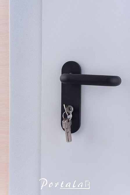 Двері технічні, ЕИ30 , гнутий профіль 80 мм, РАЛ 7035, товщина полотна 60 мм Київ - фото 2