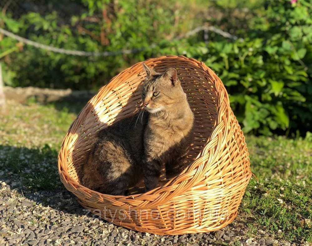 Плетений будинок для кішки Київ - фото 4