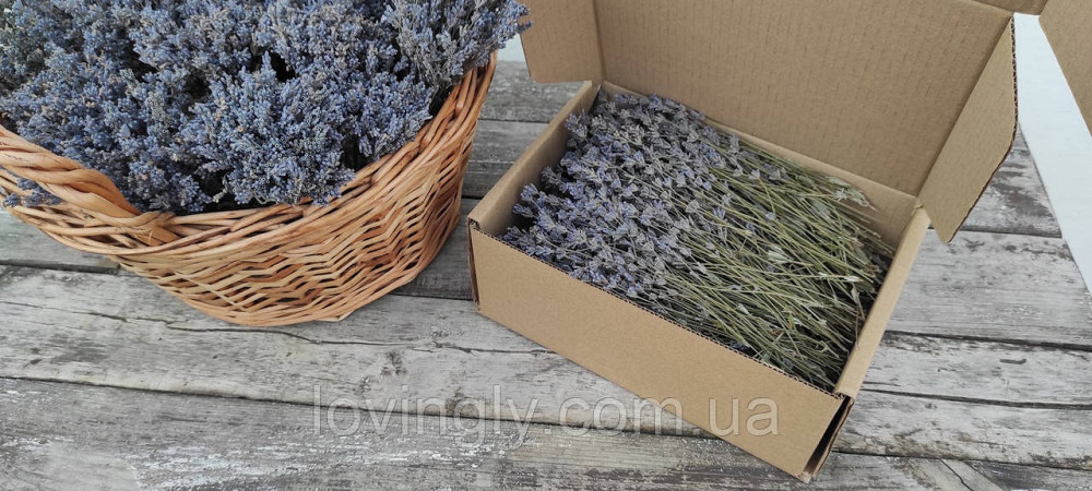 Гілочки лаванди для творчих проектів, естетичного оформлення товарів, подарунків. Ірпінь - фото 5