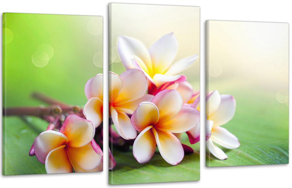 Модульная картина Цветы Орхидея Art-71_3 Киев - изображение 1