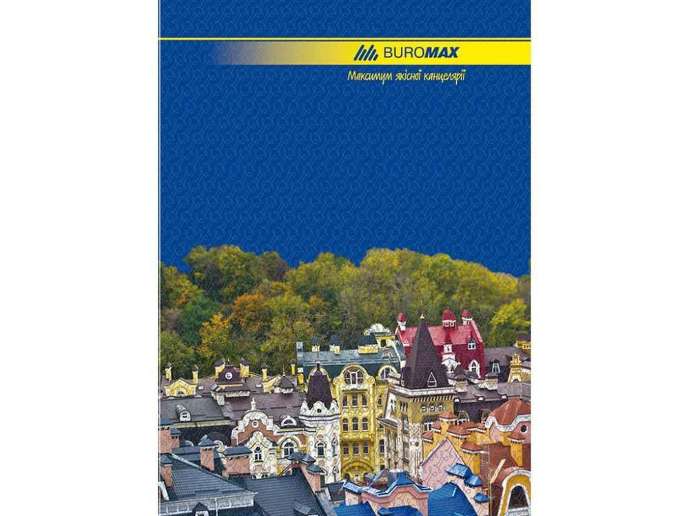 Книга канцелярська 96 арк лін.,оф. А4 BM.2401 ТМ Buromax   Solmir Київ - фото 1