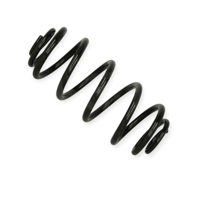 Пружина автомобіль Фіат Croma 05- ззаду Мукачево - фото 1