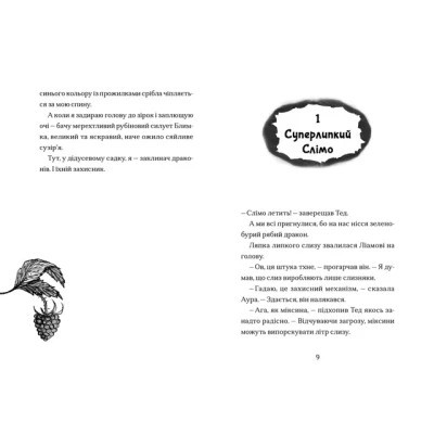 Книга Хлопчик, який співав з драконами. Книга 5 - Енді Шепард Видавництво Старого Лева (9789664482797) Винница - изображение 4