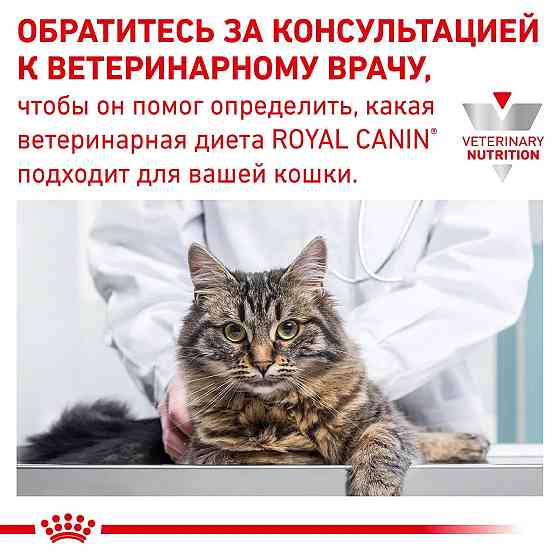 Royal Canin Gastrointestinal (Роял Канін Гастро Інтестинал) вологий корм для кішок для системи травлення 0.085 кг. х 12 шт. Запоріжжя