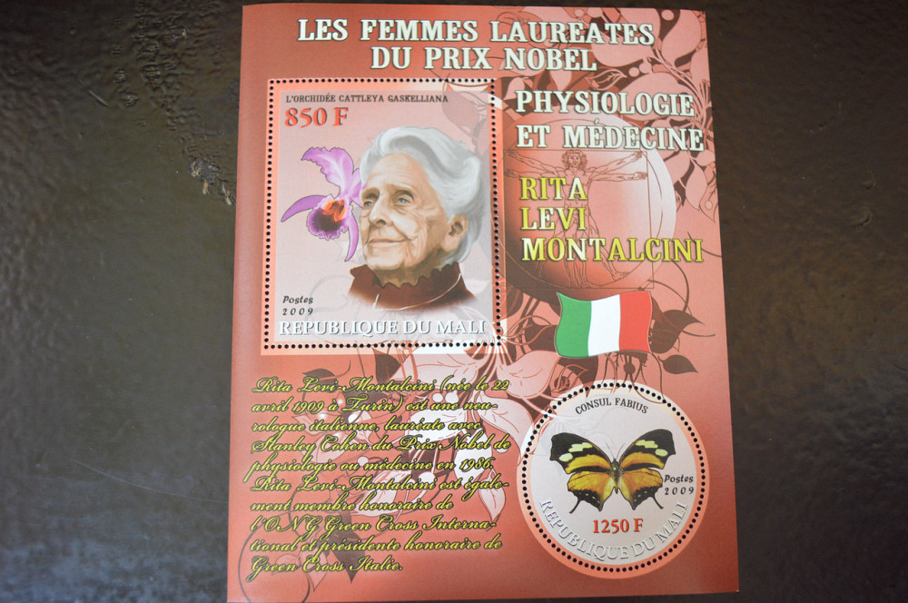 Мали. Марки. Фауна. Блок. 2012 рік (А-32) Полтава - фото 1