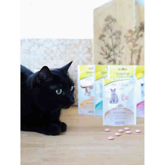 Таблетки GimCat Every Day Skin&Coat для котів, 40 г Вінниця