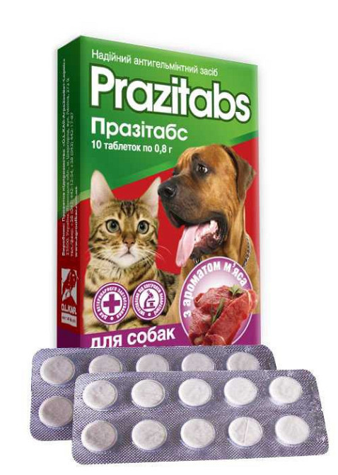 Празитабс упаковка №10 таблеток O.L.KAR. Винница - изображение 1