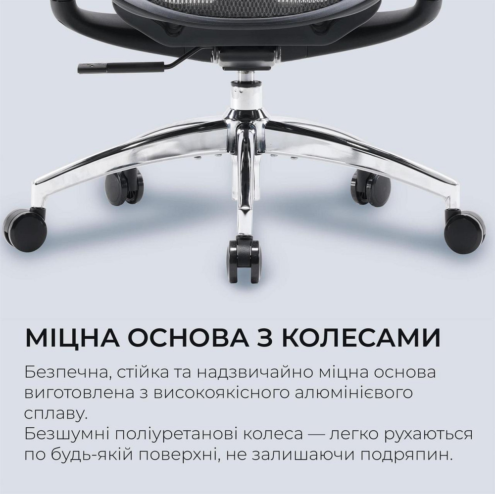Крісло офісне Sihoo Doro C300L Mesh Black (DORO-C300L-A3-101) ( 15290 ) Харків - фото 16
