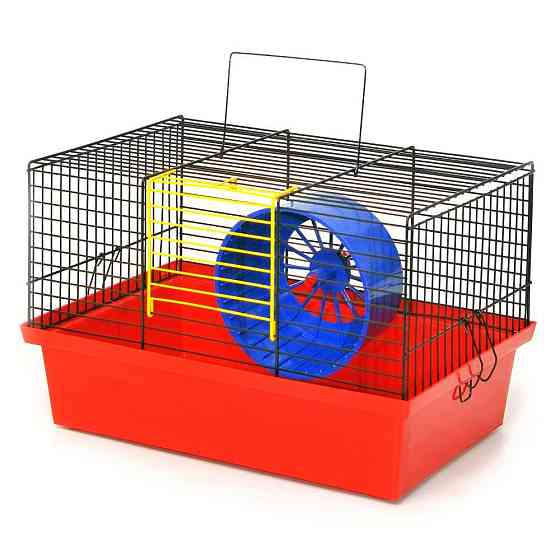 Декоративна клітка Хом'як для гризунів з барабаном (33 х 23 х 22 см), Лорі Київ