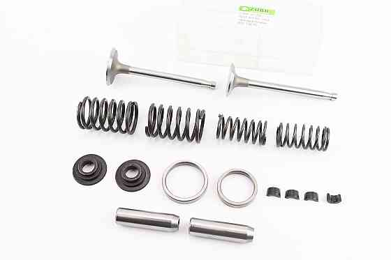 Клапан впускний (h-120; D-44; d-8,9), випускний (h-120; D-38; d-8,9) + клапанний механізмк-кт JD1105 Київ